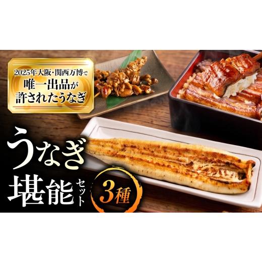 ふるさと納税 うなぎ 大阪府 藤井寺市 鰻 美陵鰻の蒲焼1尾×白焼1尾 鰻の焼き肝セット / 美陵鰻 鰻 うなぎ ウナギ 蒲焼 蒲焼き かば焼き かばやき 白焼き 白…