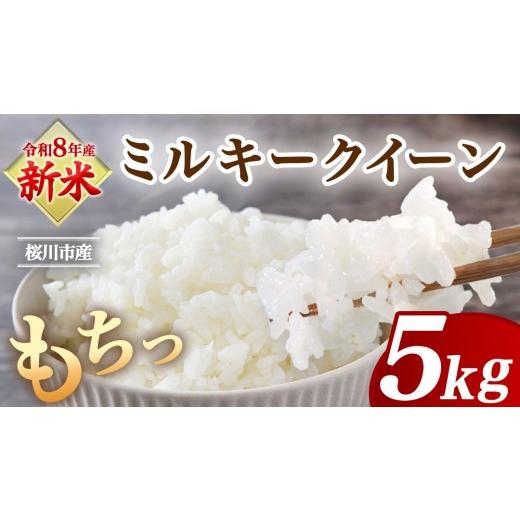 ふるさと納税 米 コシヒカリ 茨城県 桜川市 [ 令和8年産 ] 桜川市産 ミルキークイーン 5kg 新米 先行予約 茨城県 桜川市 米 お米 白米 コメ ごはん 精米 国…