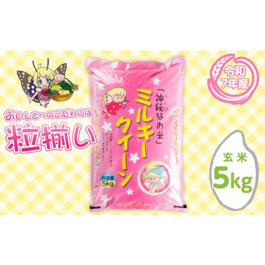 ふるさと納税 米 ミルキークイーン 茨城県 下妻市 8月発送 玄米 ミルキークイーン 5kg 茨城県下妻市産 お米 米 白米 ご飯 こめ ミルキークイーン 令和7年産 …