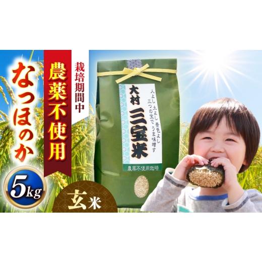 ふるさと納税 米 長崎県 大村市 栽培期間中農薬不使用 R8年度米 玄米 なつほのか 5kg 大村市 たぬき池自然農園/ 米 玄米 5kg