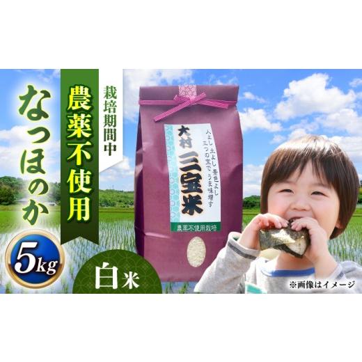 ふるさと納税 米 長崎県 大村市 栽培期間中農薬不使用 R8年度米 白米 なつほのか 5kg 大村市 たぬき池自然農園/ 米 白米 5kg