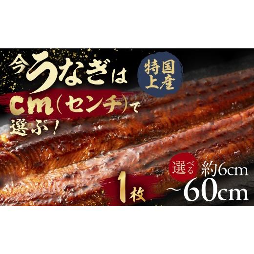 ふるさと納税 うなぎ 愛知県 豊橋市 うなぎ蒲焼 6cm(1枚) 今、うなぎはセンチで選ぶ 長さ選べる 国産 うなぎ蒲焼 カット鰻 うなぎ ウナギ unagi カット済 …