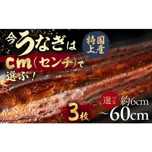 ふるさと納税 うなぎ 愛知県 豊橋市 うなぎ蒲焼 18cm(6cm×3枚) 今、うなぎはセンチで選ぶ 長さ選べる 国産 うなぎ蒲焼 カット鰻 うなぎ ウナギ unagi カ…