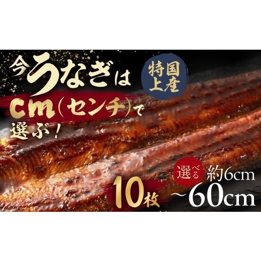 ふるさと納税 うなぎ 愛知県 豊橋市 うなぎ蒲焼 60cm(6cm×10枚) 今、うなぎはセンチで選ぶ 長さ選べる 国産 うなぎ蒲焼 カット鰻 うなぎ ウナギ unagi カ…
