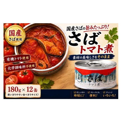 ふるさと納税 防災グッズ 岩手県 陸前高田市 決済から2週間程度で発送 さば缶詰 トマト煮 180g×12缶セット 有機トマトが引き立てる鯖の旨み お試し サバ缶 …