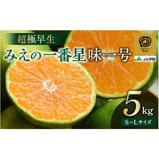 ふるさと納税 果物類 みかん 三重県 熊野市 三重ブランド認定品 みかん JAみえの一番星 (味一号) 超極早生 約5kg S〜Lサイズ 光センサー選果 | みかん ミカン…