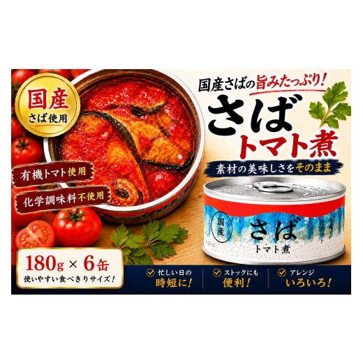 ふるさと納税 防災グッズ 岩手県 陸前高田市 10月発送 さば缶詰 トマト煮 180g×6缶セット 発送時期が選べる 有機トマトが引き立てる鯖の旨み お試し サバ缶 …