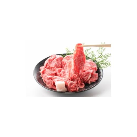ふるさと納税 牛肉 岐阜県 養老町 毎月定期便 訳あり 飛騨牛5等級 切り落とし用途いろいろ 500g全3回 4088467