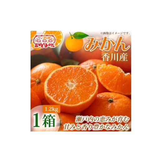 ふるさと納税 果物類 みかん 香川県 - 甘さと酸味の絶妙 香川県産極上みかんを家族みんなで味わう みかん(ハウス)(1.2kg)1箱 1727336