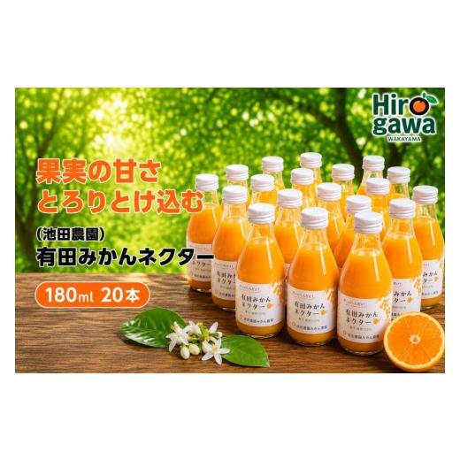 ふるさと納税 果汁飲料 和歌山県 広川町 みかん ネクター 100% ジュース / 温州みかん 有田みかん 果汁 無添加 柑橘 和歌山 20000円 180ml 北海道・沖縄・離…