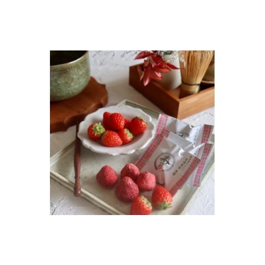 ふるさと納税 菓子 チョコレート 兵庫県 尼崎市 芦屋含浸果実 寿苺 14粒 1750826