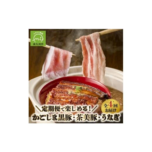ふるさと納税 うなぎ 鹿児島県 南九州市 発送月固定定期便 かごしま黒豚・茶美豚・うなぎ定期便全4回 4088564