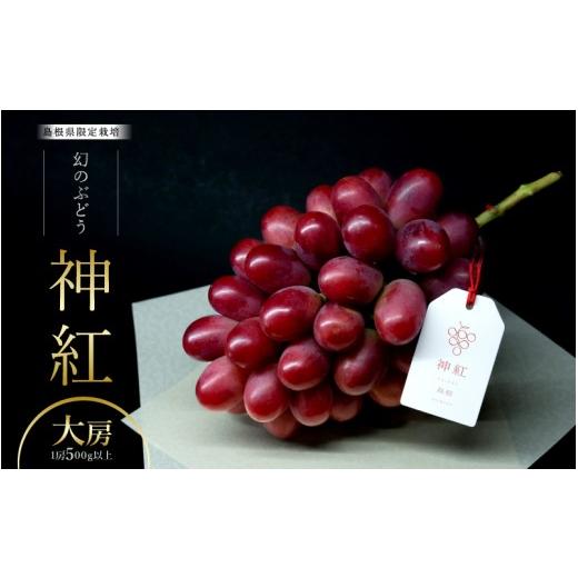ふるさと納税 ぶどう 島根県 邑南町 島根県限定栽培 幻のぶどう"神紅(しんく)" 園長厳選 糖度20度以上、1房 500g以上の大房