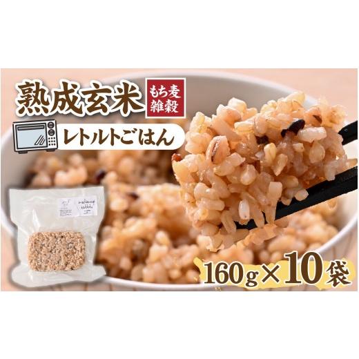 ふるさと納税 玄米 福井県 福井市 熟成玄米 もち麦雑穀 / 玄米 げんまい ゲンマイ 米 コメ こめ 小分け パック 雑穀 もち麦 もちむぎ 麦