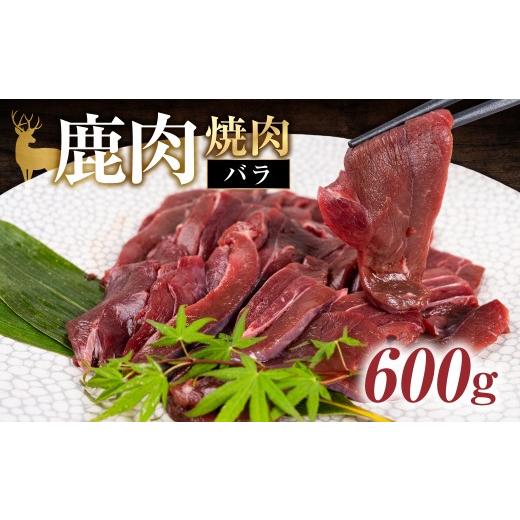 ふるさと納税 鹿肉 岐阜県 本巣市 ジビエ 鹿 鹿肉バラ 600g 赤身 赤身肉 鹿 シカ 鹿肉 シカ肉 鍋 焼肉 炒め物 冷凍 8000円 8千円