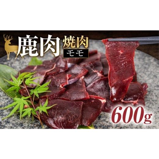 ふるさと納税 鹿肉 岐阜県 本巣市 ジビエ 鹿 鹿肉モモ 600g 赤身 赤身肉 鹿 シカ 鹿肉 シカ肉 モモ もも 鍋 焼肉 炒め物 冷凍 10000円 1万円