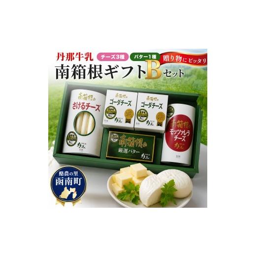 ふるさと納税 加工品等 チーズ 静岡県 函南町 丹那牛乳 南箱根ギフト Bセット KN-004-002