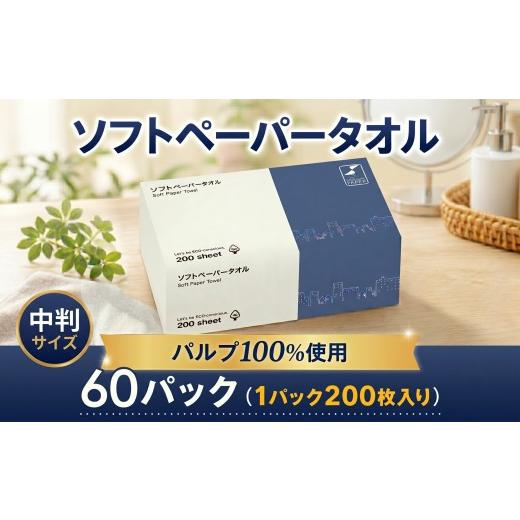 ふるさと納税 雑貨・日用品 神奈川県 厚木市 ペーパータオル 200枚 × 60パック バージンパルプ 使い捨てタオル 中判 ソフトタイプ レギュラー 手拭き キッチ…