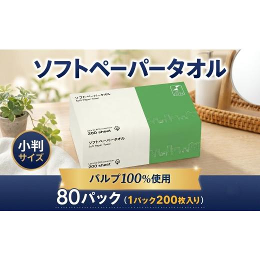 ふるさと納税 雑貨・日用品 神奈川県 厚木市 ペーパータオル 200枚 × 80パック バージンパルプ 使い捨てタオル 小判 ソフトタイプ エコノミー 手拭き キッチ…