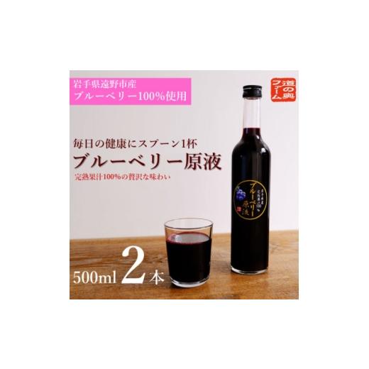 ふるさと納税 果汁飲料 岩手県 遠野市 栽培期間中農薬不使用 遠野のブルーベリーから絞った原液2本セット 1334415