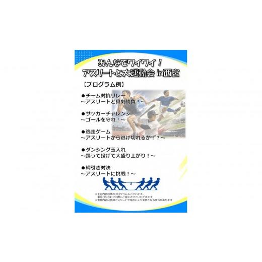 ふるさと納税 体験チケット 兵庫県 西宮市 みんなでワイワイ アスリートと大運動会 in西宮 〜ロングプラン〜
