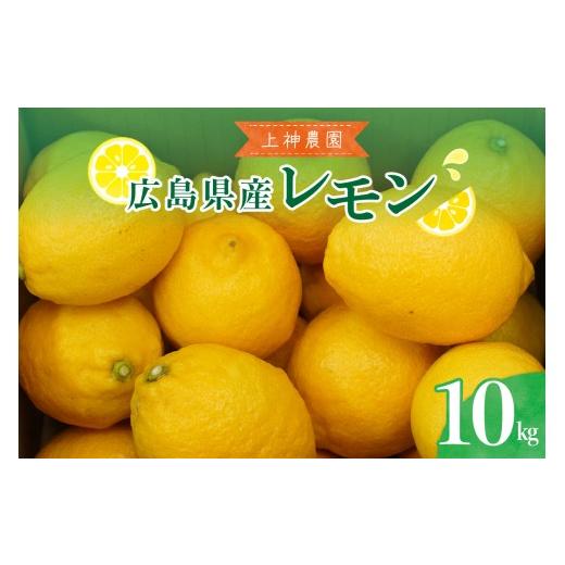 ふるさと納税 みかん・柑橘類 レモン 広島県 呉市 先行受付 2026年11月〜発送 上神農園 の 広島県産 レモン 約10kg ku011-043-26