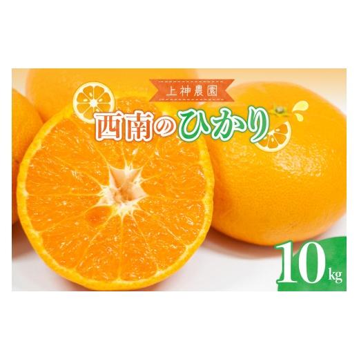 ふるさと納税 果物類 みかん 広島県 呉市 先行受付 2026年12月上旬〜発送 上神農園の西南のひかり 約10kg ku011-046-26