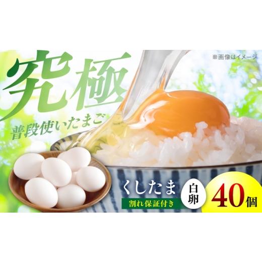 ふるさと納税 卵(鶏、烏骨鶏等) 愛知県 稲沢市 くしたま白卵 40個(36個+割れ保証4個)/ 卵 たまご 鶏卵 白卵 / 稲沢市 / 櫛田養鶏場