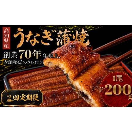 ふるさと納税 加工品等 高知県 南国市 2回 定期便 高知県産 うなぎ 蒲焼 1尾 | 国産 日本産 うな重 うな丼 鰻 ウナギ 有頭 蒲焼き かばやき 土用丑の日 土用…