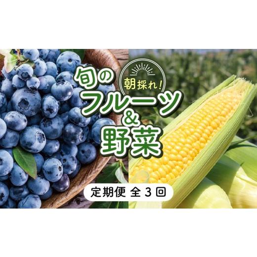 ふるさと納税 果物類 高知県 南国市 先行予約 全3回定期便 完熟生ブルーベリー(サザンハイブッシュ系・ラビットアイ系)各600g スイートコーン 1.7kg (約5本…