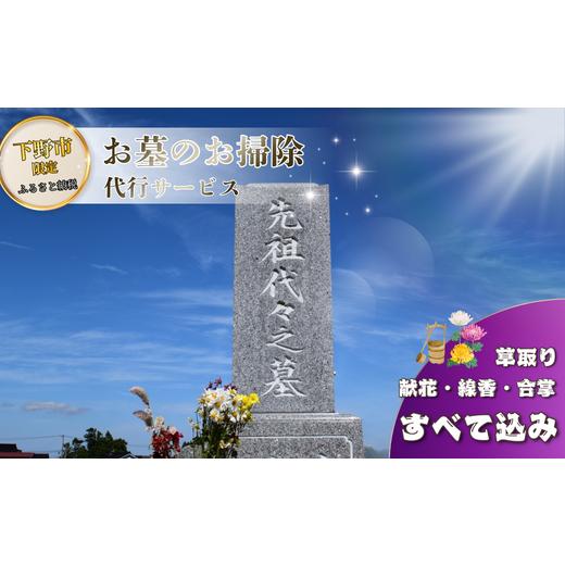 ふるさと納税 イベントやチケット等 栃木県 下野市 お墓 清掃 代行サービス 1回「ふるさとのお墓 心を込めてお掃除します」 掃除 お掃除 代行 栃木県 しもつけ…
