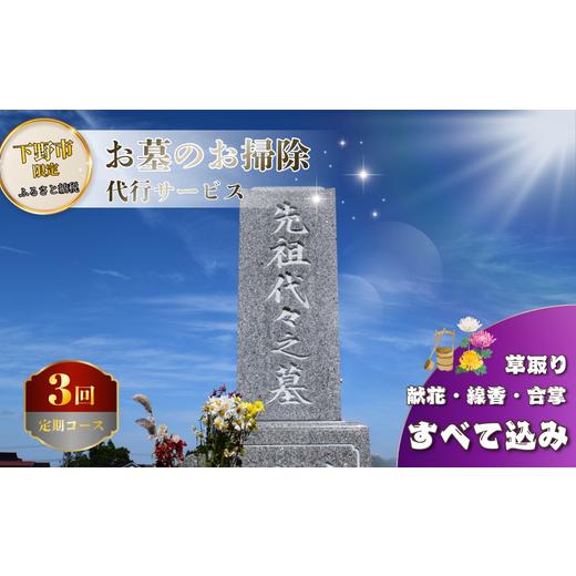 ふるさと納税 イベントやチケット等 栃木県 下野市 お墓 清掃 代行サービス 3回コース「ふるさとのお墓 心を込めてお掃除します」 掃除 お掃除 代行 栃木県 し…