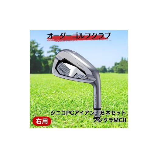 ふるさと納税 ゴルフグッズ 愛媛県 伊予市 ゴルフ ゴルフクラブ ジニコPCアイアン 6本セット フジクラMCI オーダーメイド アイズファクトリー|F75