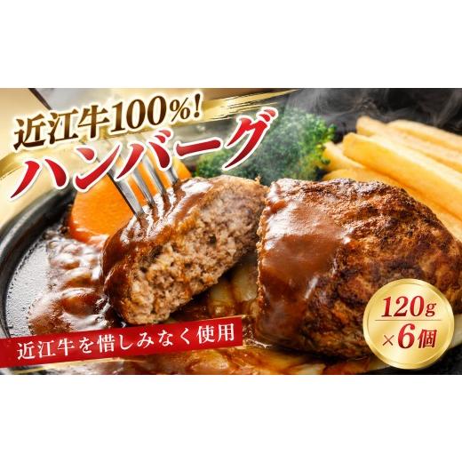 ふるさと納税 肉 ハンバーグ 滋賀県 彦根市 近江牛100%使用 無添加ハンバーグ 6個入 ハンバーグ バーグ 近江牛 牛100% 牛 無添加 個包装 和牛 牛肉 冷凍 黒毛…
