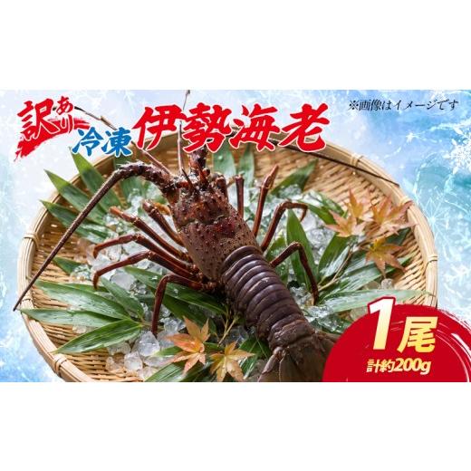 ふるさと納税 エビ 伊勢エビ 三重県 南伊勢町 (冷凍) 訳あり 伊勢海老 1尾 加熱用 約200g 海老 伊勢 エビ 伊勢エビ 訳アリ品 訳アリ 海鮮 海の幸 味噌汁 焼き…