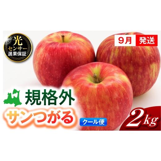 ふるさと納税 りんご 青森県 五所川原市 2026年9月発送 規格外 光センサー選果保証 青森県産 規格外りんご サンつがる 2kg クール便 約2kg