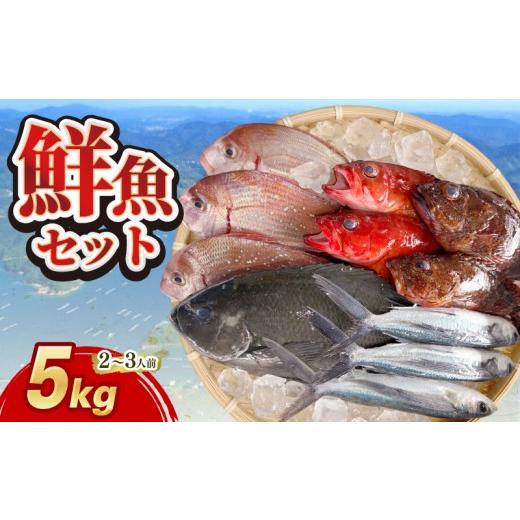 ふるさと納税 旬の鮮魚等 三重県 南伊勢町 (冷蔵) おまかせ 鮮魚セット 2〜3人前 鮮魚 海鮮 セット 海の幸 魚介 詰め合わせ 食べ比べ グルメ 魚 伊勢志摩 三重…