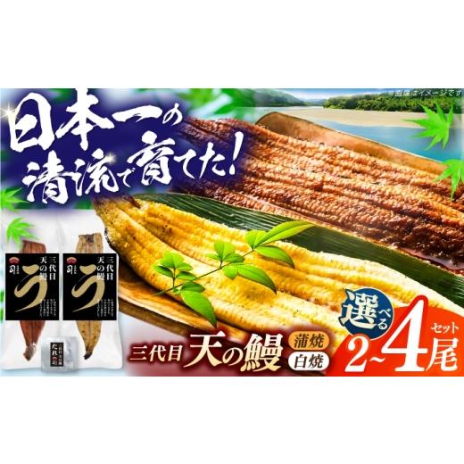 ふるさと納税 うなぎ 高知県 高知市 チョイス限定 土佐料理司 三代目天の鰻蒲焼1尾&白焼1尾セット (高知市春野町産) / 鰻 うなぎ ウナギ 蒲焼 うな重 国産 …