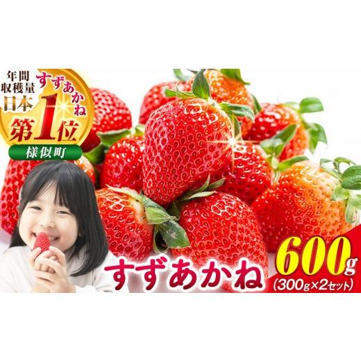 ふるさと納税 いちご 北海道 様似町 初夏を告げる 北海道 様似町産 すずあかね 600g(300g×2セット) いちご イチゴ 苺 ストロベリー ichigo itigo ICHIGO…