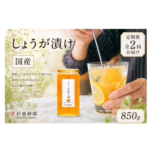 ふるさと納税 加工品等 はちみつ 熊本県 熊本市 2回定期便 しょうが漬け 850g しょうが 生姜 ショウガ はちみつ漬け 蜂蜜漬け はちみつ ハチミツ 蜂蜜 杉養蜂…