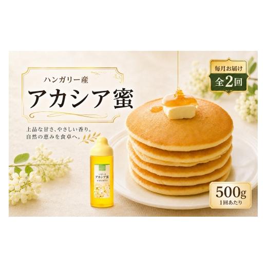 ふるさと納税 加工品等 はちみつ 熊本県 熊本市 2回定期便 ハンガリー産 アカシア蜜 500g アカシアはちみつ はちみつ ハチミツ 蜂蜜 アカシア ハニー 蜜 杉養…