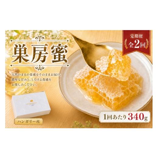 ふるさと納税 加工品等 はちみつ 熊本県 熊本市 2回定期便 ハンガリー産 巣房蜜 巣蜜 コムハニー はちみつ ハチミツ 蜂蜜 ハニー 蜜 巣 杉養蜂園 定期便