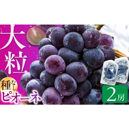ふるさと納税 ぶどう 福岡県 広川町 先行予約 2026年7月中旬以降発送 ピオーネ 2パック(約700g) 広川町 / JAふくおか八女農産物直売所どろや AFAB115 2026…