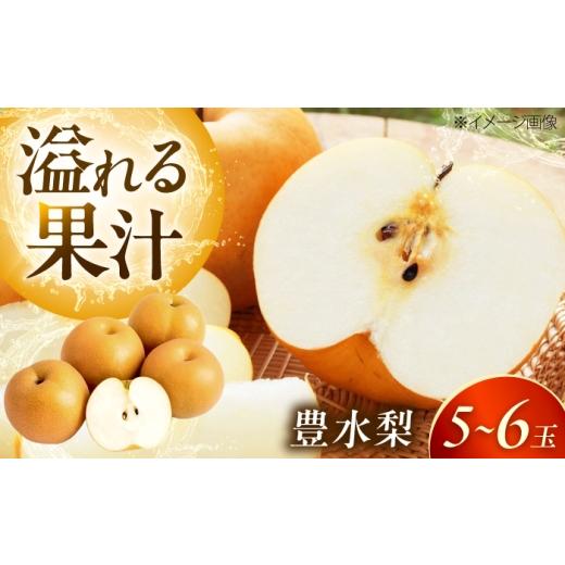 ふるさと納税 梨 愛媛県 内子町 豊水梨(ほうすいなし) 5〜6玉入 [2026年8月〜発送] / 梨 なし フルーツ 果物 くだもの 食品 人気 おすすめ 季節のフルー…