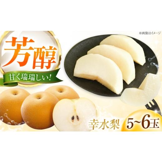 ふるさと納税 梨 愛媛県 内子町 幸水梨(こうすいなし) 5〜6玉入り [2026年8月〜発送] / フルーツ 果物 くだもの 食品 人気 おすすめ 送料無料 梨 なし 幸水…
