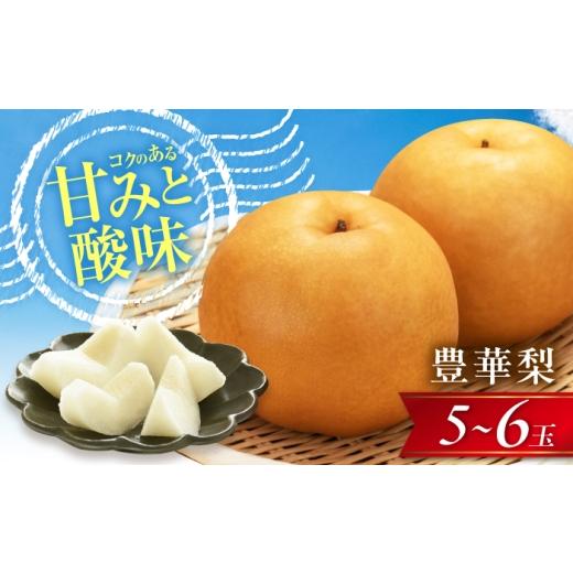 ふるさと納税 梨 愛媛県 内子町 豊華梨(ゆたかなし) 5〜6玉入 [2026年8月〜発送] / 梨 なし フルーツ 果物 くだもの 食品 人気 おすすめ 季節のフルーツ 豊…