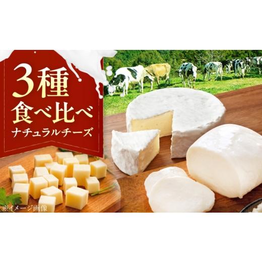 ふるさと納税 加工品等 チーズ 愛媛県 内子町 山地放牧酪農ミルクのナチュラルチーズ3種詰め合わせセット/(トミーノ/モッツァレラ/セミハード(UCHIKO180…