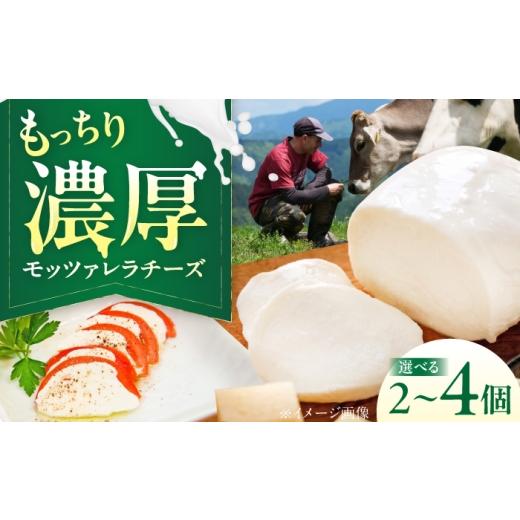 ふるさと納税 加工品等 チーズ 愛媛県 内子町 山地放牧酪農ミルクのモッツァレラチーズ 2個セット/チーズ モッツアレラチーズ 愛媛県 伝統製法 おつまみ 乳製…