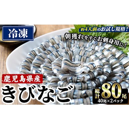 ふるさと納税 魚貝類 鹿児島県 阿久根市 鹿児島県産 阿久根のきびなごお刺身セット (計80尾・40尾×2パック) 魚介類 冷凍 海鮮 魚 きびなご キビナゴ 刺身 さ…