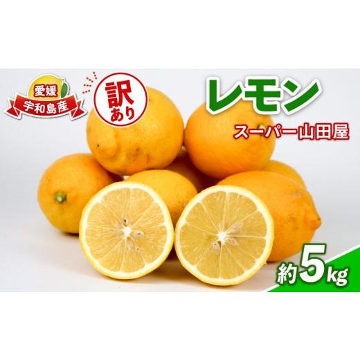 ふるさと納税 みかん・柑橘類 レモン 愛媛県 宇和島市 訳あり レモン 約 5kg スーパー山田屋 わけあり れもん 檸檬 レモン果汁 酸味 爽やか 果実 サワー ジュ…